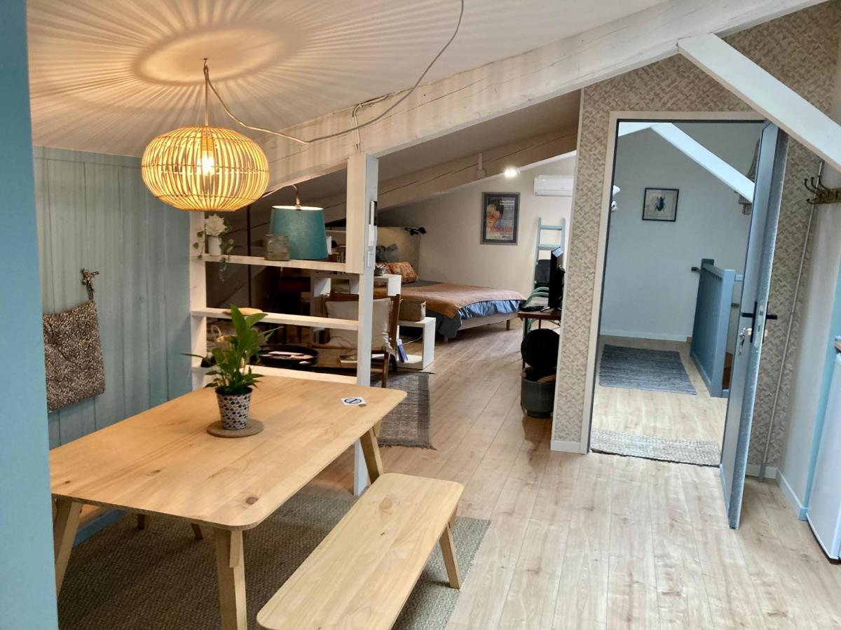 16 Bis-Gite-Hotel-Studio Marssac-sur-Tarn Luaran gambar